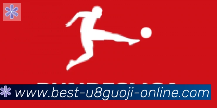 U8国际体育合作伙伴